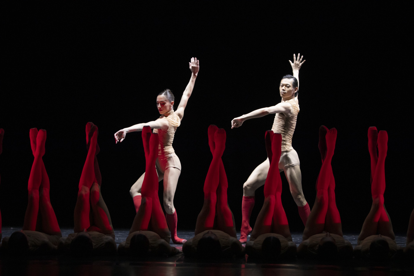 Poznań Opera Ballet: exciting multi-hands program