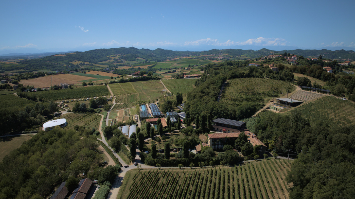 Call for Creation: on line in bando